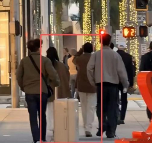 25日，网友在洛杉矶偶遇林俊杰与一名高挑长发女性并肩出行，有消息爆料称该名女子是