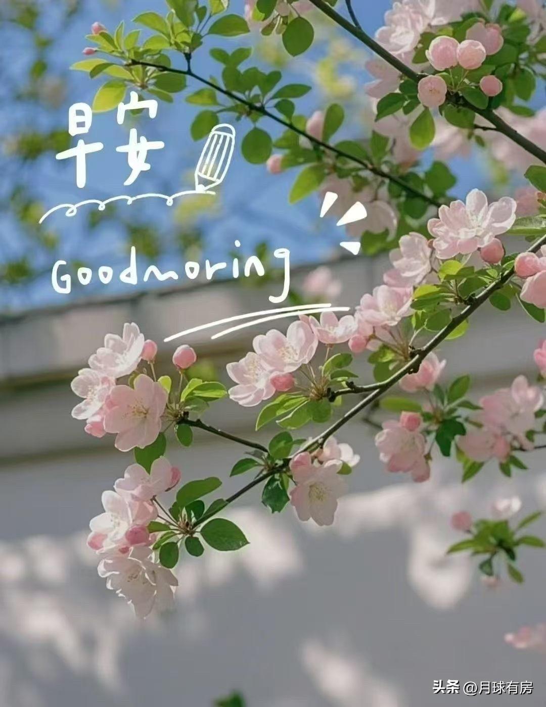 跟大家聊聊：普通人怎么用AI审稿，把普通文章改成爆款

经常有粉丝问我，现在AI