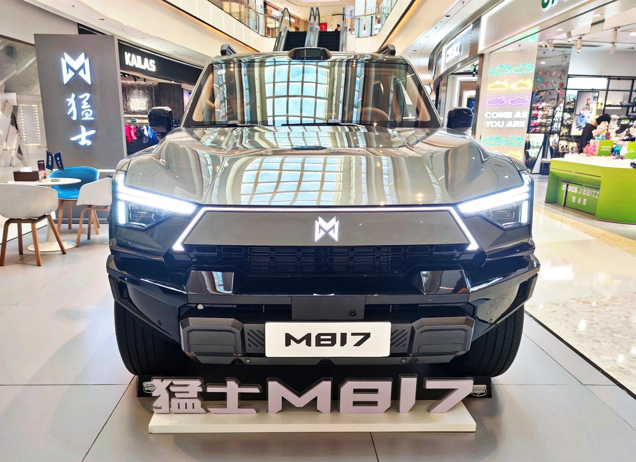 豪华智能越野SUV《猛士M817》
  猛士M817是东风汽车旗下高端越野品牌，