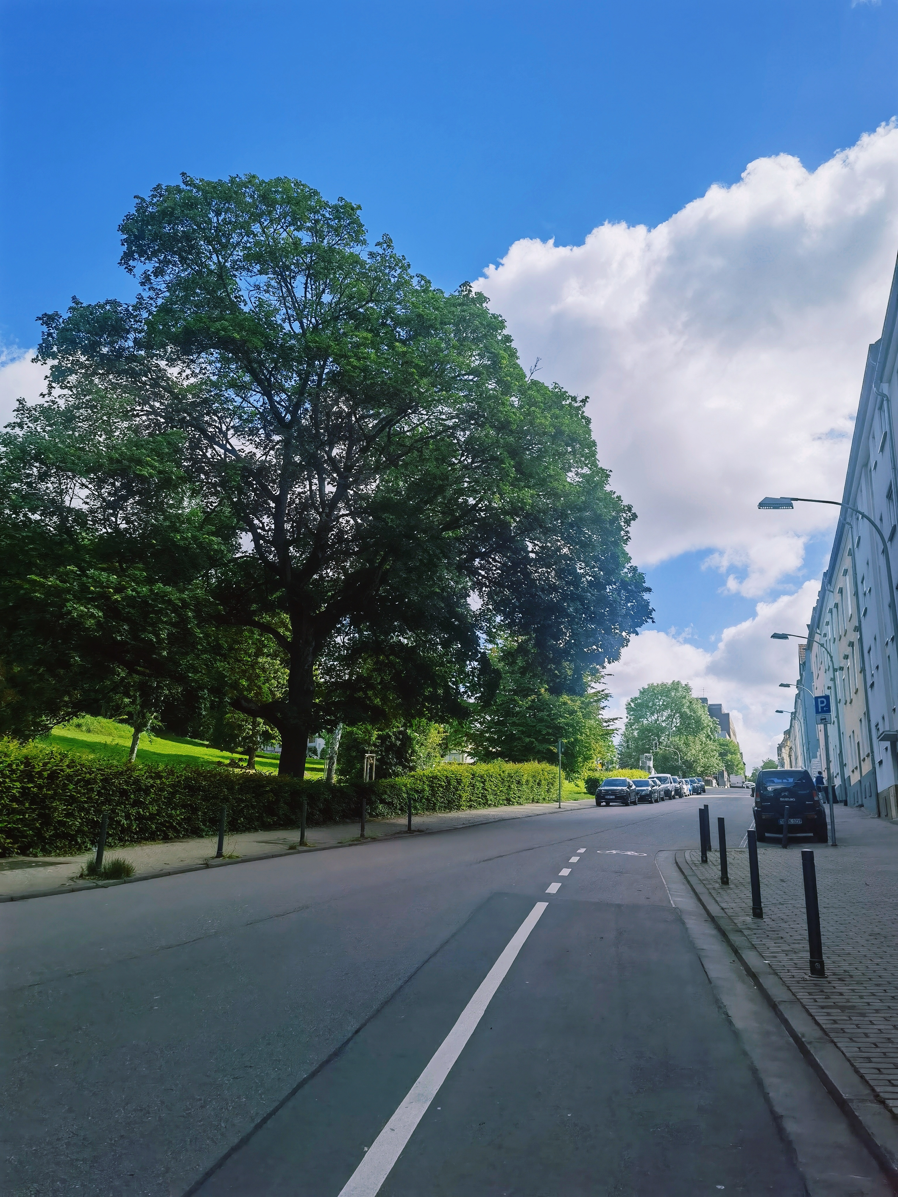 再次准备回国✈️年后每场好像都是步履匆匆的行程首先最最重要的是 恭喜樊振东欧冠冠