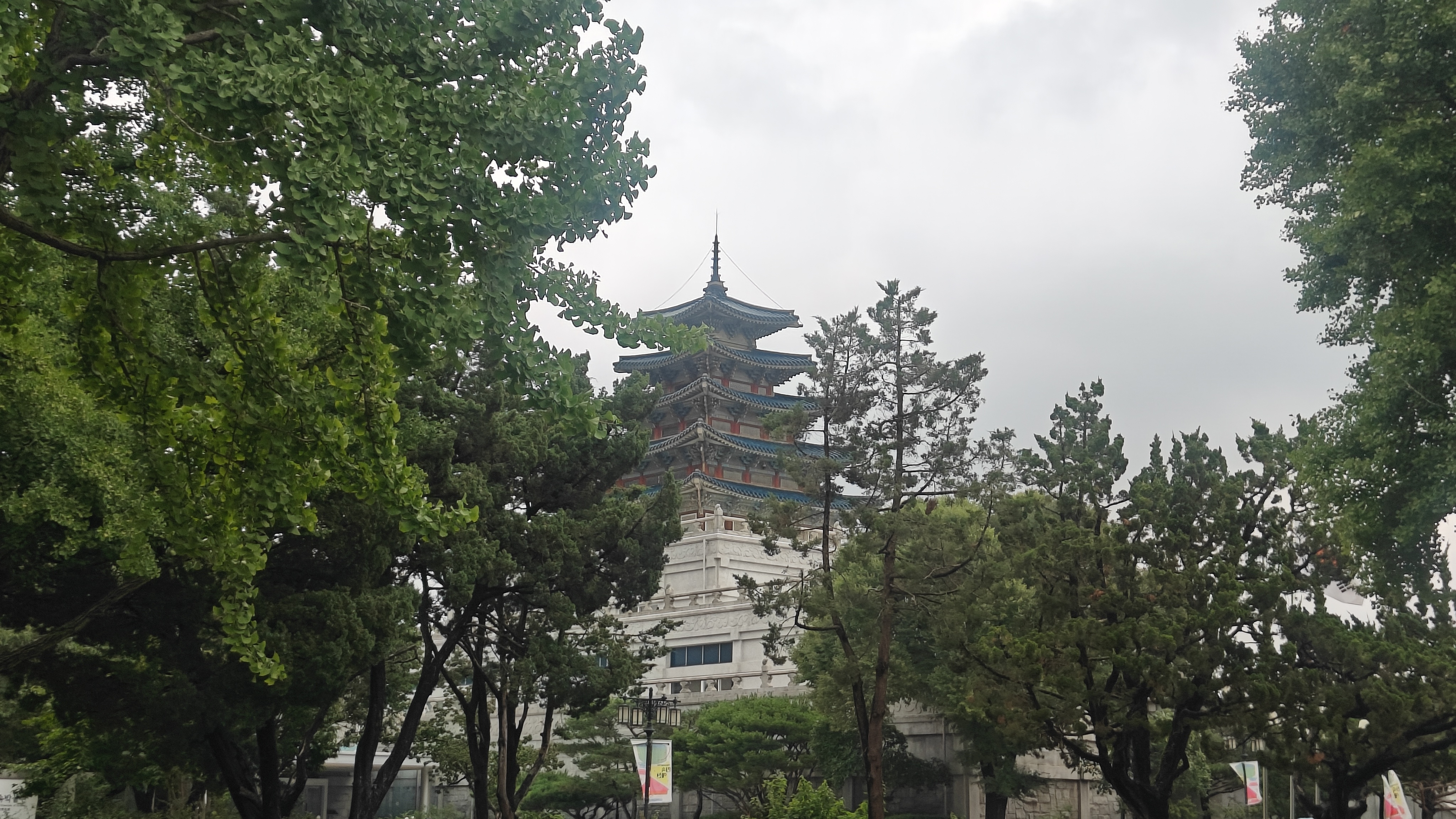 大早上起来就只让我看这种！ 