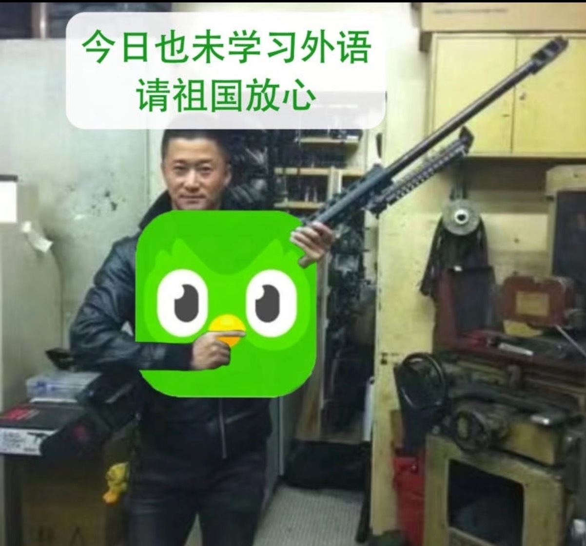 张予曦怕被背单词的鸟骂 万万没想到，也会在背单词软件里被一只鸟“监督”到瑟瑟发抖