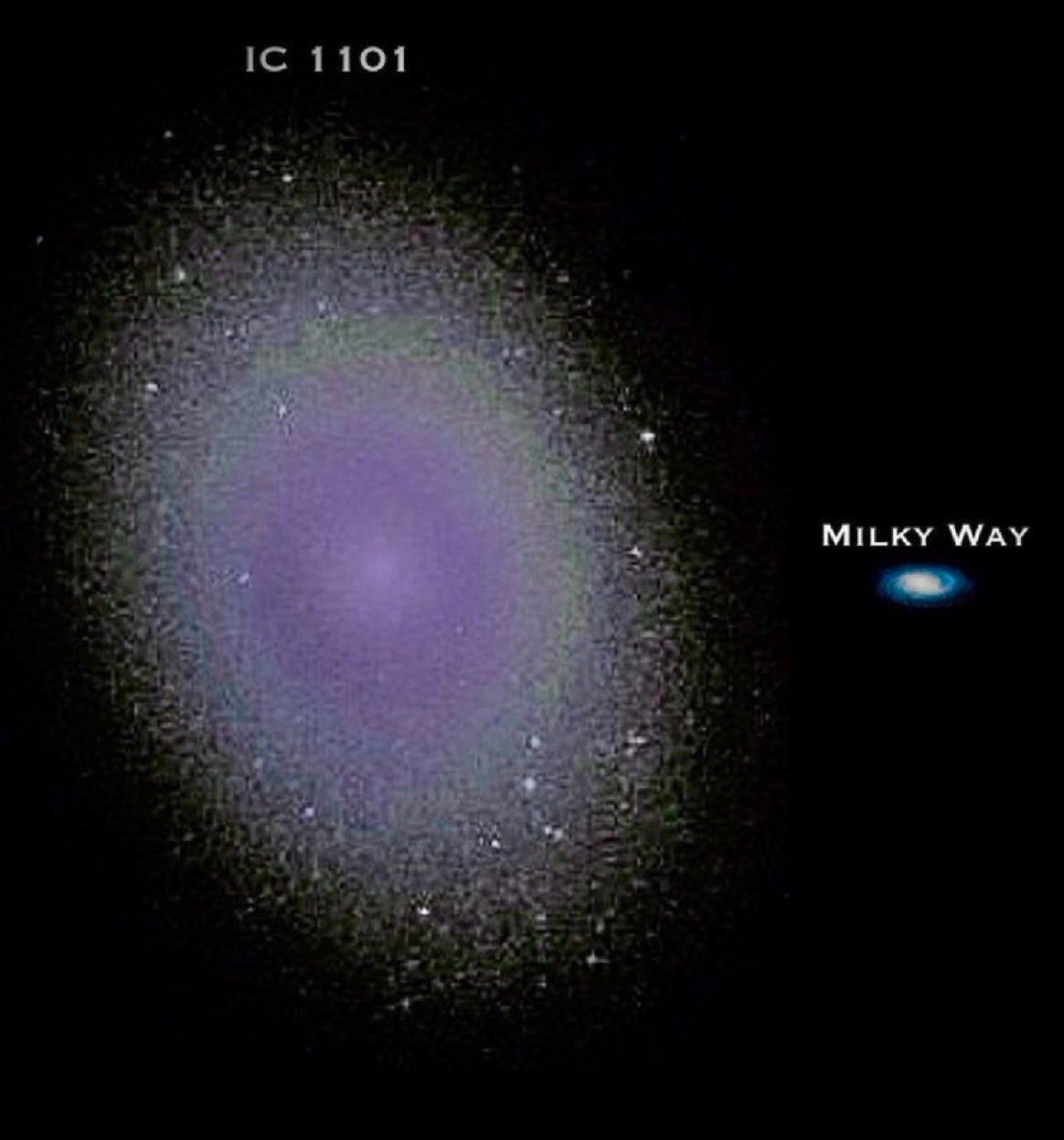IC 1101 是迄今为止观测到的最大的星系之一，它的直径为数百万光年，相比之下