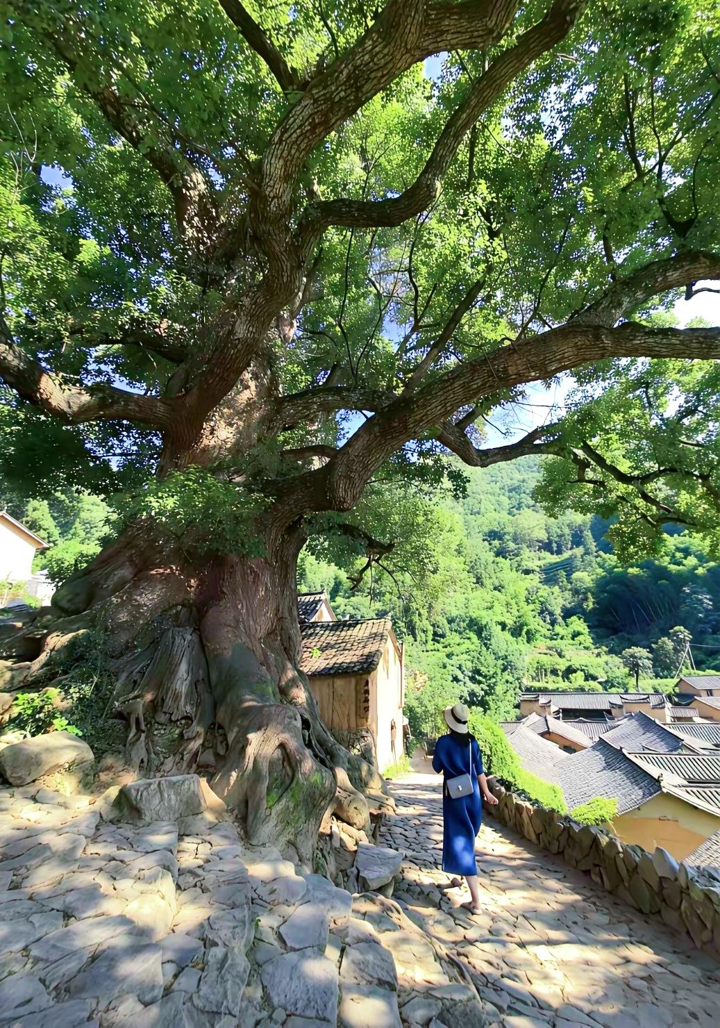 女人须知（3）：不管与谁结婚，都有遗憾，都会后悔

作为女人，谁不渴望拥有完美的