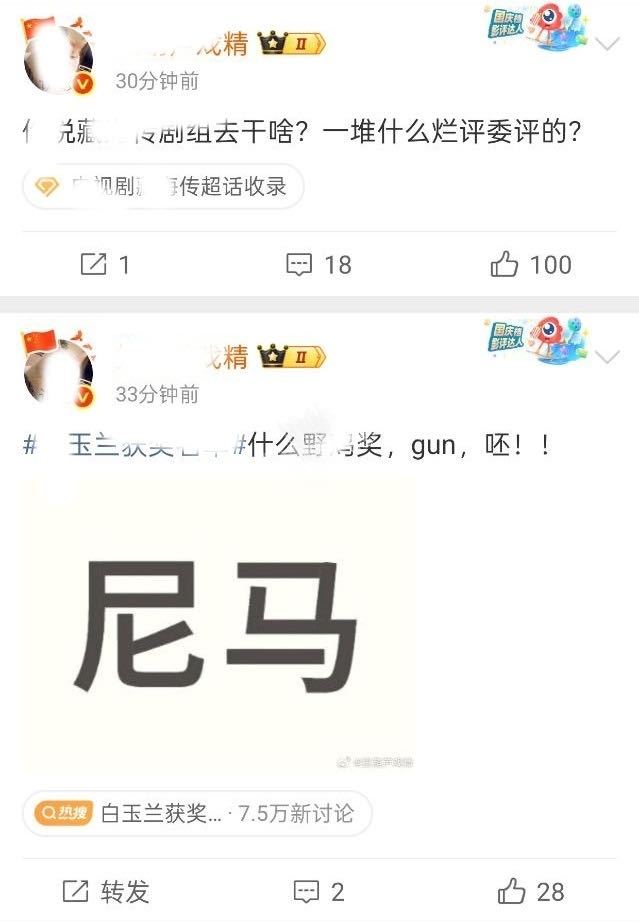 你geigei为啥只参加野鸡奖？