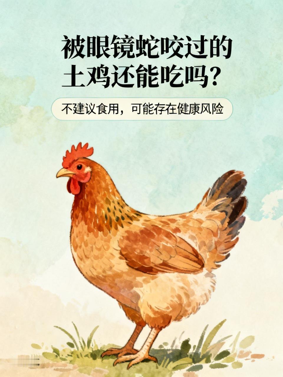 被眼镜蛇咬过的土鸡还能吃吗? 被眼镜蛇咬过的土鸡能不能吃，这事儿得慎重。眼镜蛇可