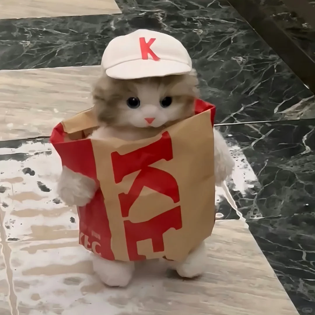 变装小猫₊⁺ʚ=･ ֊ ･=ɞ‧₊˚