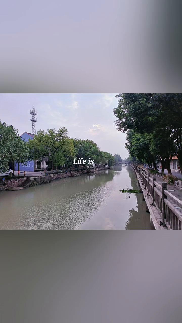 Life is this，I like this。