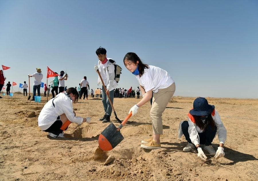 外媒想不通：不给钱、也不减税，凭什么中国人做成了西方做不成的事，沙漠里种下一棵树