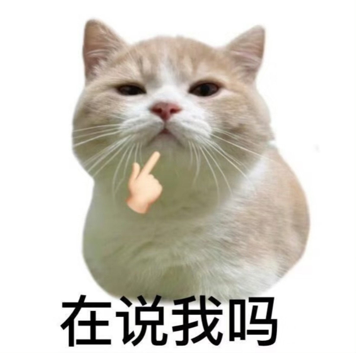 如果命运扼住我的喉咙，我就挠他胳肢窝 ​​​