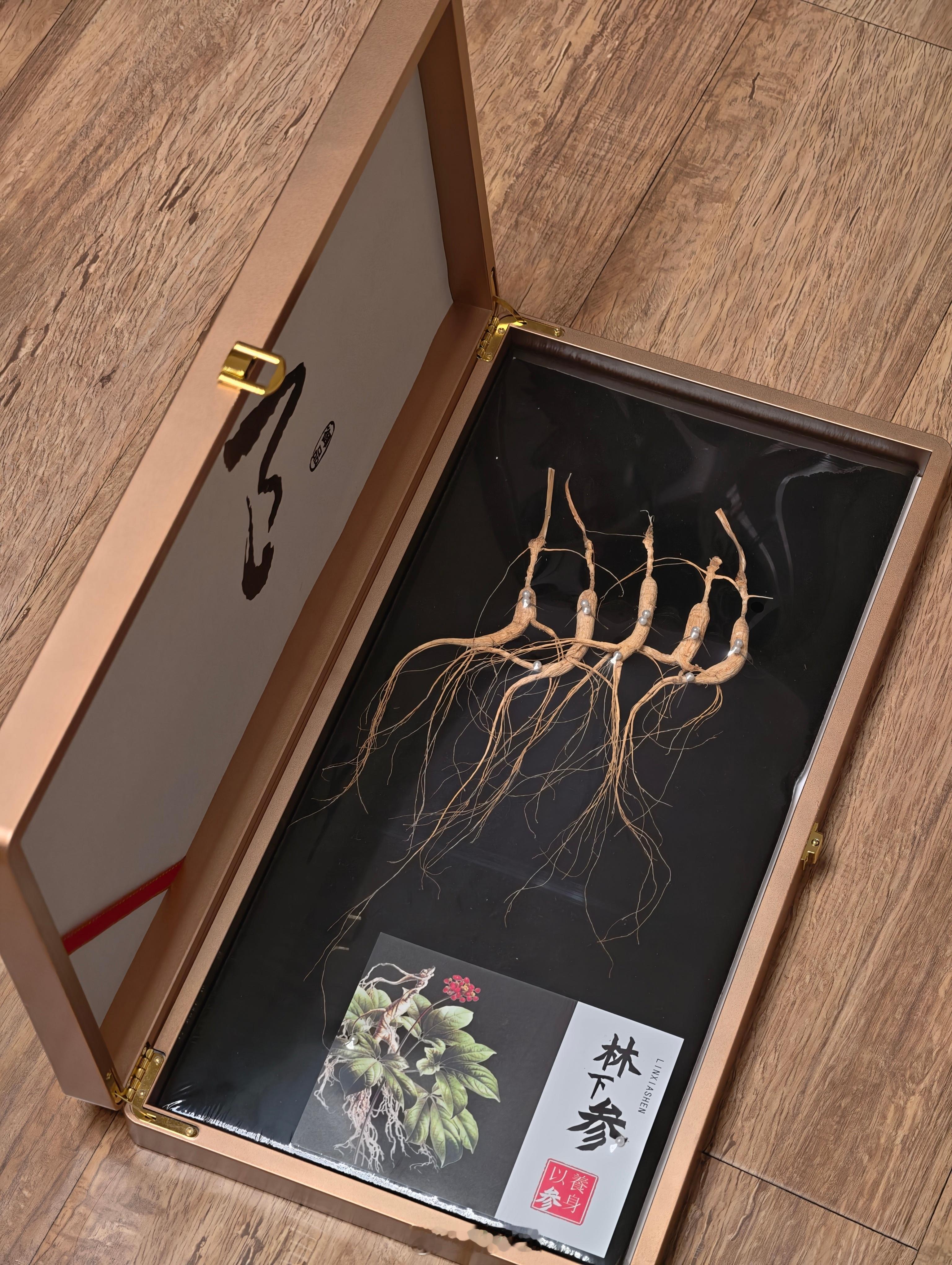 感谢东北刘亦菲的馈赠！今晚我直接来波大补！