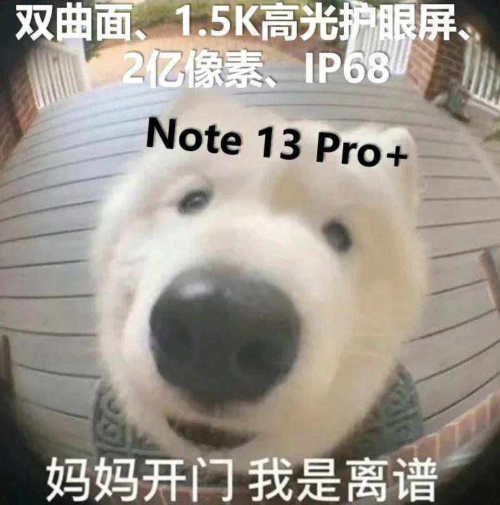 起猛了，以前苹果、三星等高端旗舰机才有的IP68级防尘防水，现在国产已把它整到中
