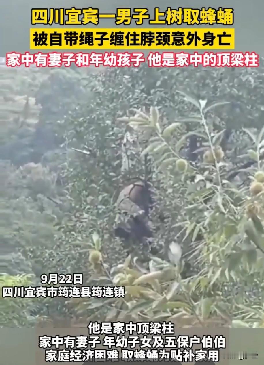 麻绳专挑细处断，这次该断的没断！
四川28岁男子爬树取蜂蛹，被自带绳子缠住脖颈意