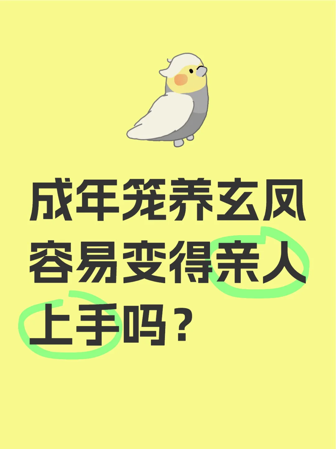 求问：成年笼养玄凤容易变得亲人上手吗？