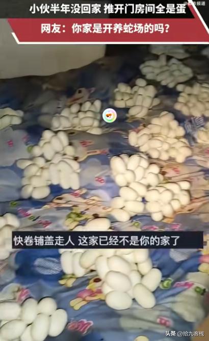 吓哭了！6月12日，江西一小伙整整半年没有回过家，最近，他返回自己久无人居的住处