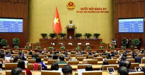 越南政府的决议，实际上就是要扼杀广西平陆运河出海口。中国的企业绝对不能帮助越南完
