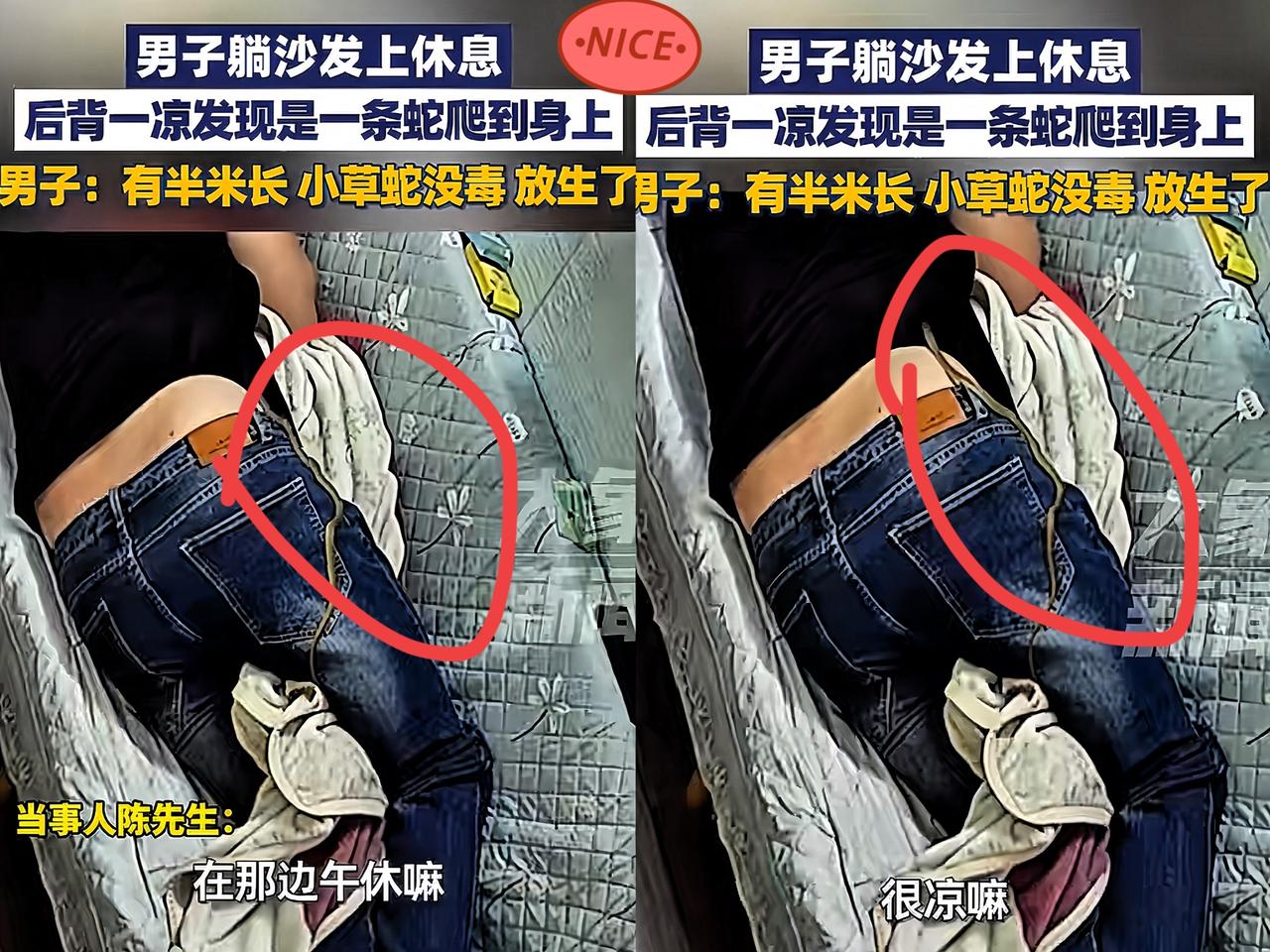 近日，福建漳州一男子
上了一天班很是疲惫，
回家躺在沙发上睡着了，睡梦中

他感