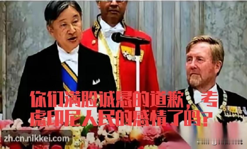日本天皇对荷兰道歉，听着很让人感动，日本终于有人正确对待二战历史了。但是这事仔细