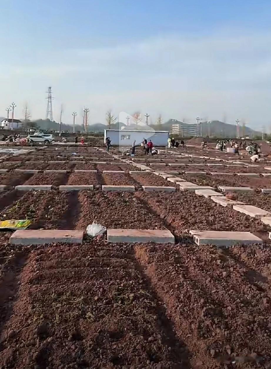 在社交媒体上刷到四川广安的共享菜园，社区将闲置荒地划分为约50平方米的小块，以每