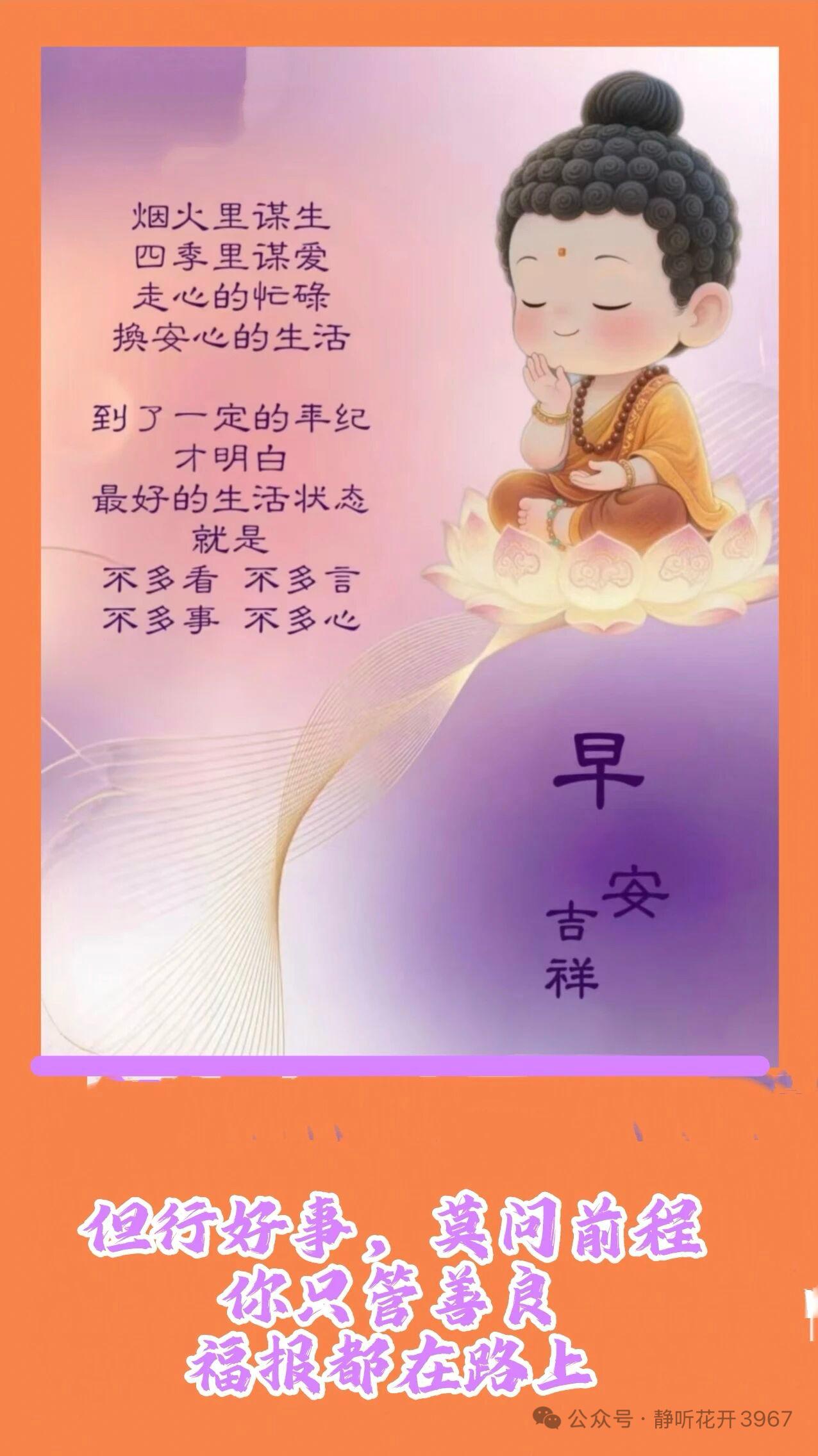 一念起｜万物生把心念放正
让情绪流动
稳住自己
才能在喧嚣中找到安宁。