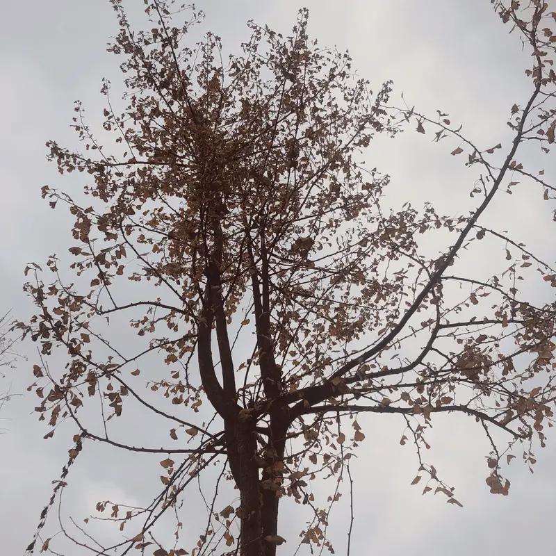 不惑之年，真能感觉到半生寒凉。回头看，年少时的轻狂和意气风发都成了过去式。上有老