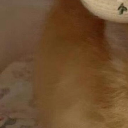 0000生活不能等别人来安排，要自已去争取和奋斗；而不论其结果是喜是悲，但可以慰