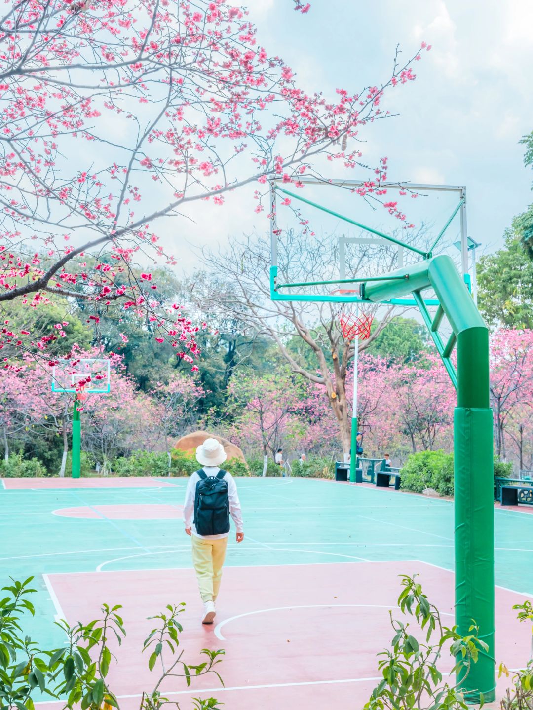 春游记｜广州这5所大学比公园还美‼️