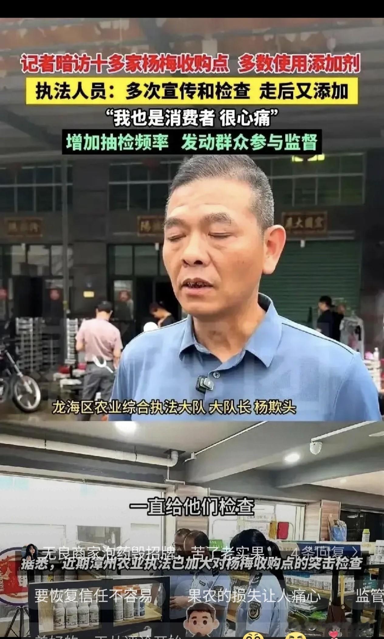 记者在现场揭露漳州杨梅事件：工人吃惊地警告记者不要吃杨梅，原因竟然是这些杨梅“泡