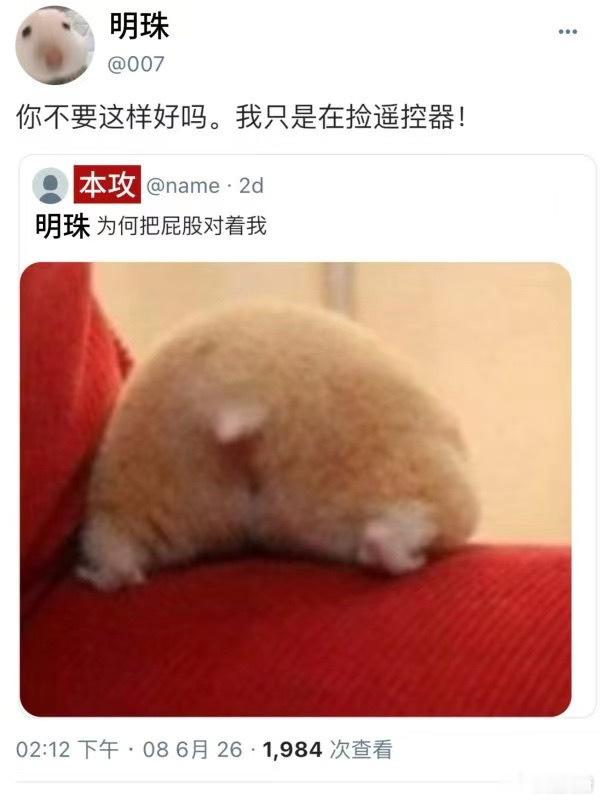 15296受概念