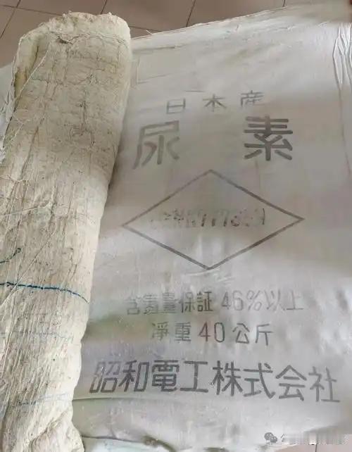 1970年代末，当中日贸易的大门刚刚缝开一条线时，日本人怎么也没想到，他们出口到