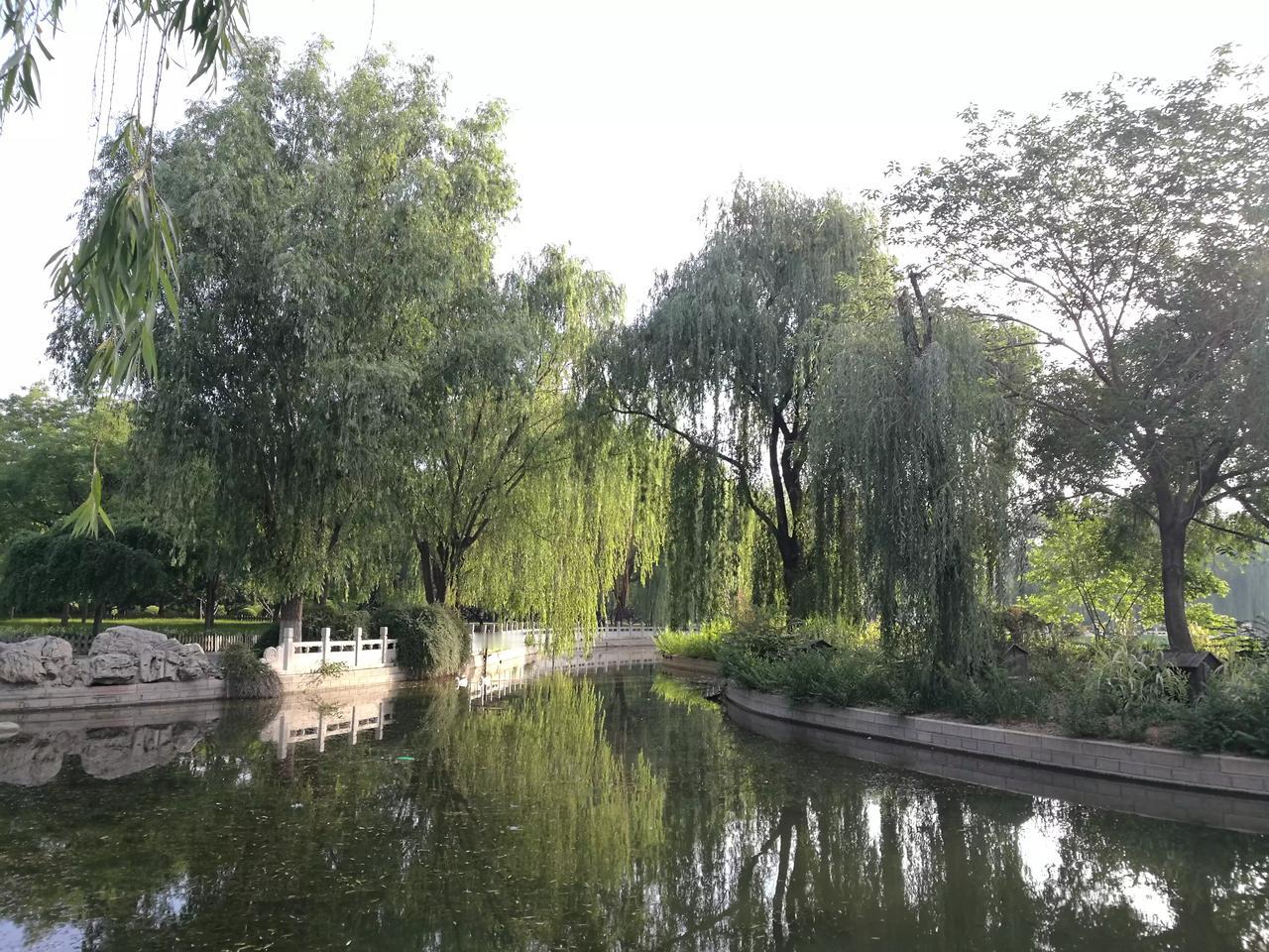 最近有个大爷在地铁为让座之事被拘。这件事引发了公众热议。有人说大爷错，有人说小姑