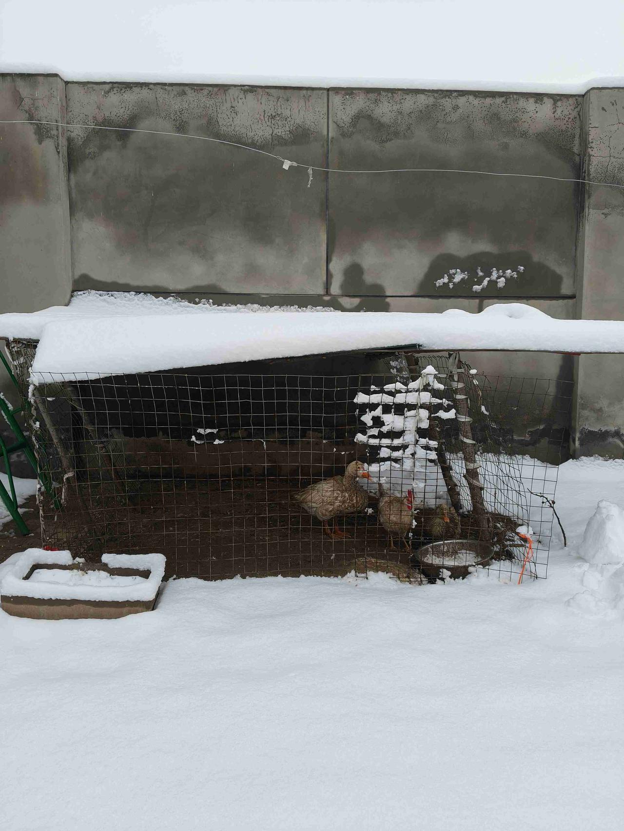 我的今日状态：💪🏻充满干劲
我这里的天气：❄️下雪