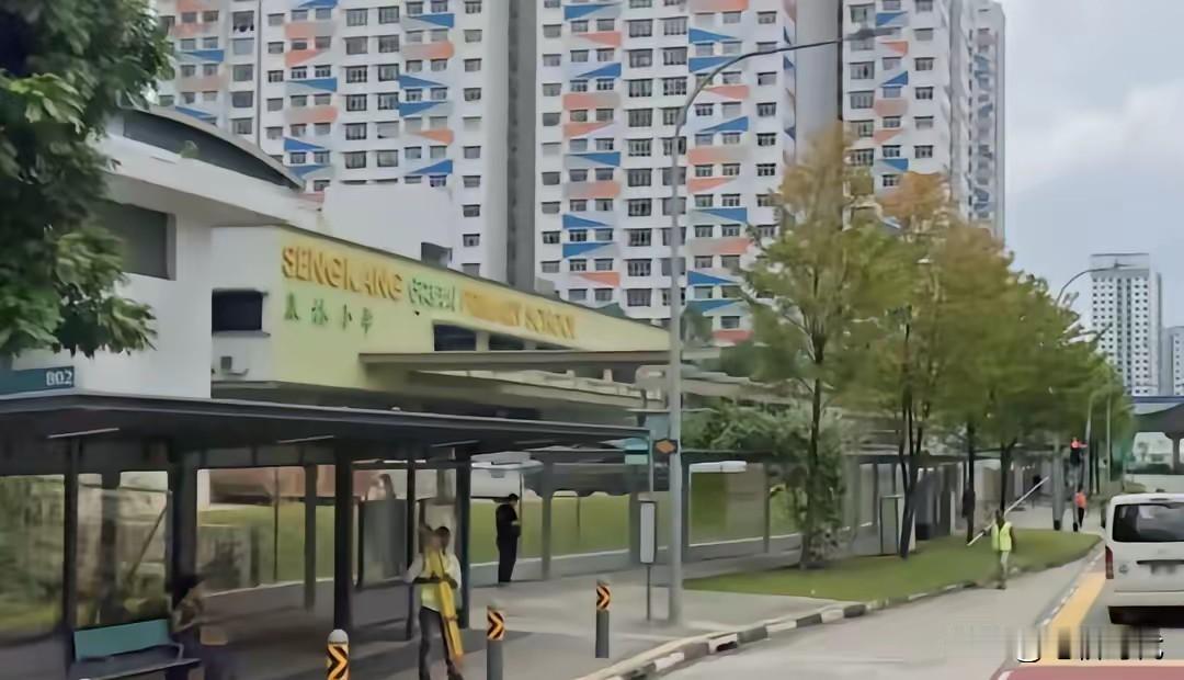 够狠！新加坡三名小学生均为9岁，因霸凌同学被停课！ 其中一人已被执行鞭刑。教育部