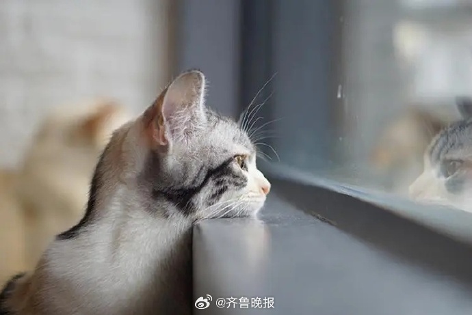 #早安# 保持热爱，向光而行，生活的惊喜自会水到渠成。 ​​​