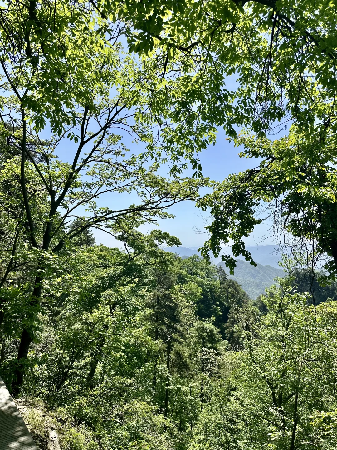 你的魅力在于你太健康了