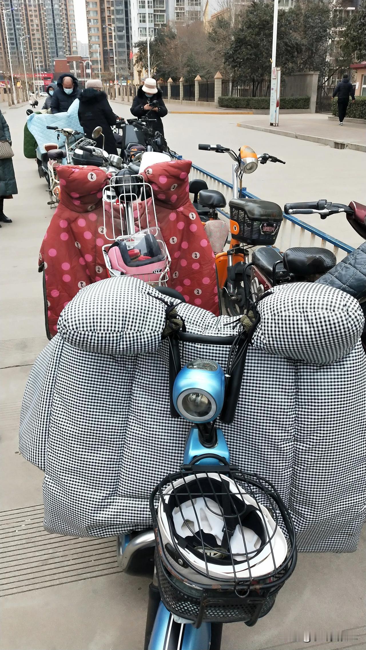 电车上牌都开始排队了，这么早都开始排队了，今天能上了吗，系统还崩溃了，真垃圾，这