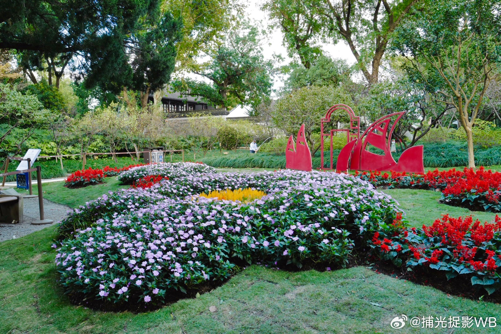 逛古园，赏秋菊【上海·醉白池公园】 
