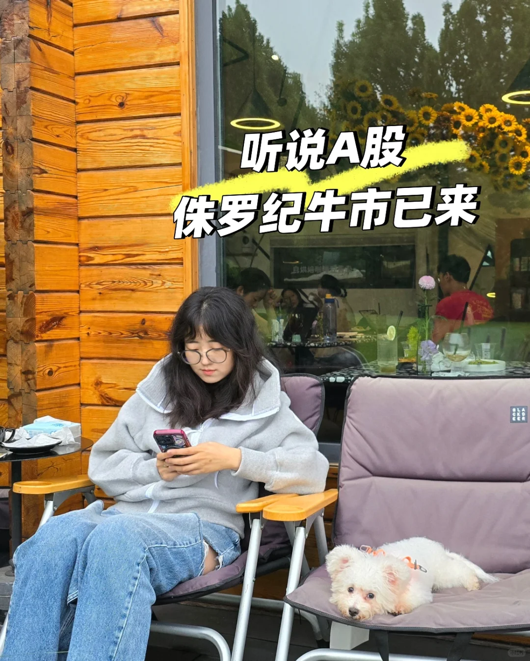 A股牛市，7条结论布局🐮