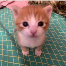 今天只续主动🔥谢谢。