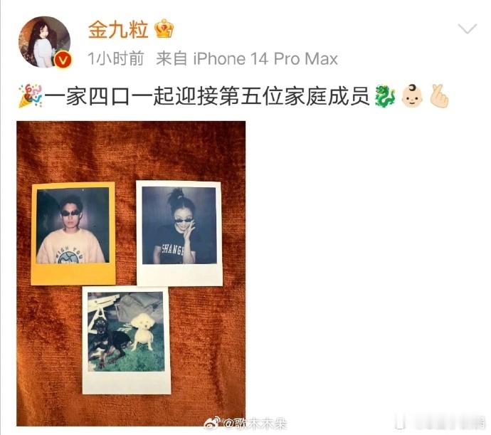 #金靖 怀孕#这保密工作做的挺好 ​[哈哈][哈哈][哈哈]！#金靖 舒奕橙#能