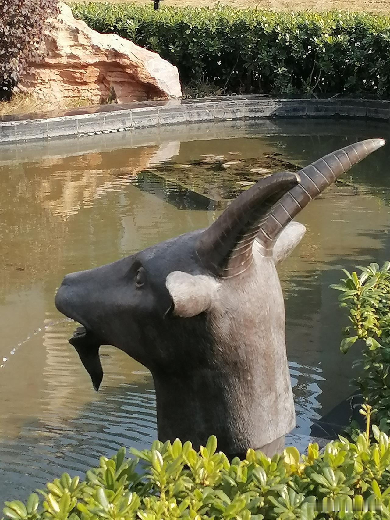 羊仿佛在跟蛇说道，2025年蛇年眼看就要结束啦，我吃草的时候也不用再担心你咬我咯