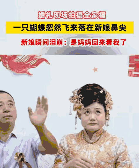 这一幕，连科学都解释不了！山东，婚礼当天，新娘出门前正和爸爸拍合照。突然，一只蝴