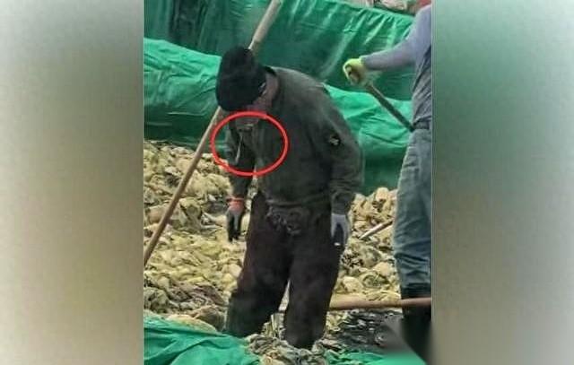 我真的服了，那个往酸菜池子里抽烟、吐痰的大哥，是把那儿当自家澡堂子了吗？
那一口