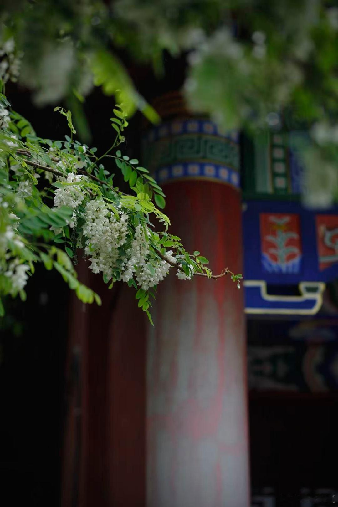 儿童节来辽宁铁刹山感受不一样的童年 想让儿童节不止有欢笑，更有文化收获？来辽宁铁