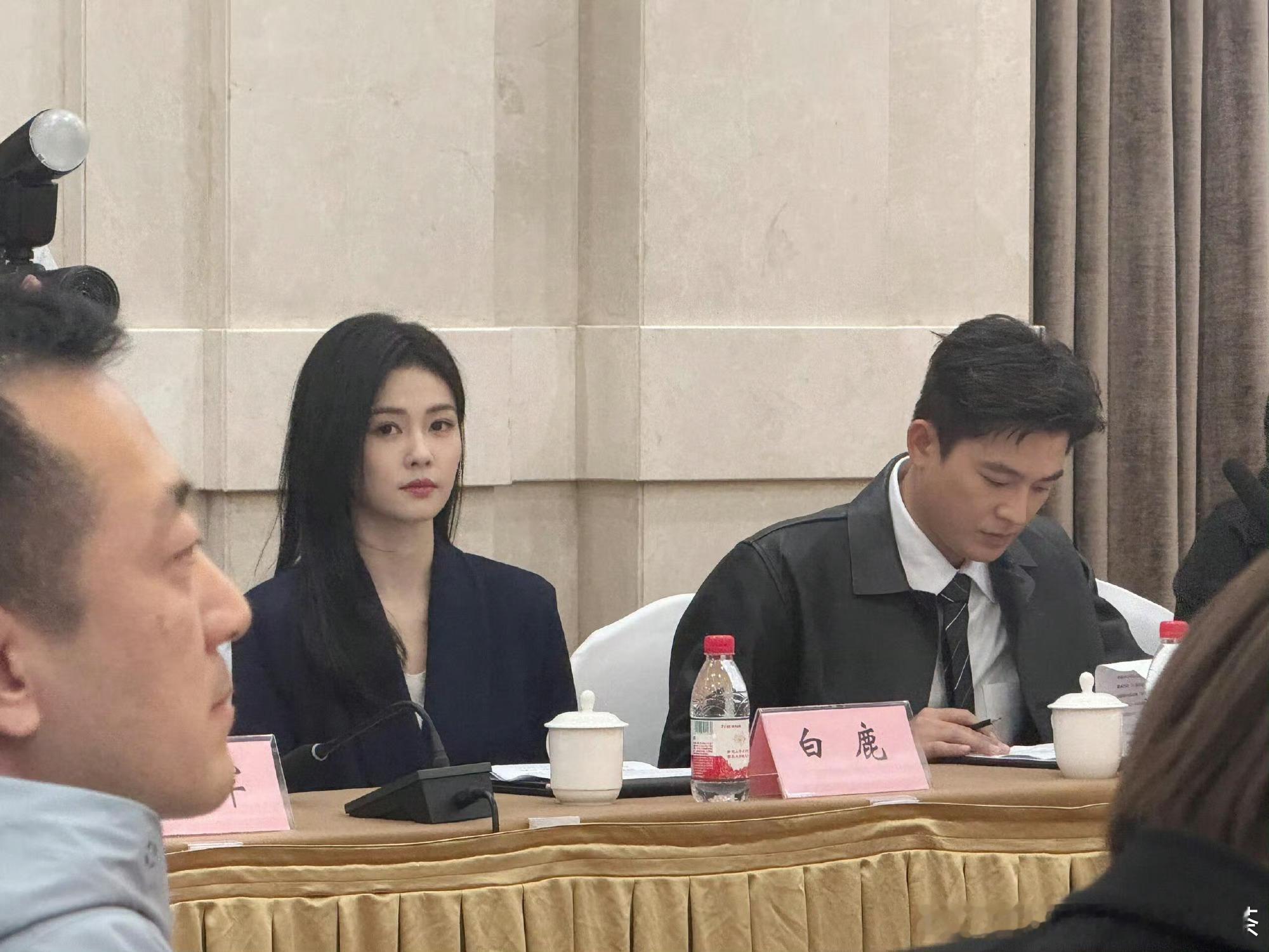 白鹿北上研讨会造型白鹿北上研讨会发言来看 ​​​