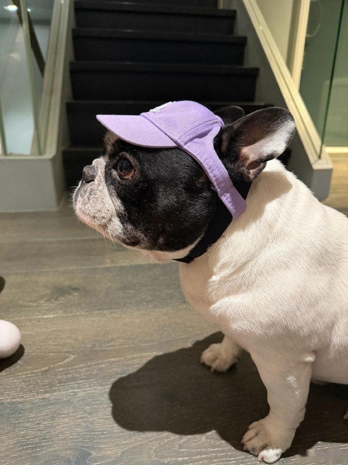 鹿晗馒头真不能再吃 