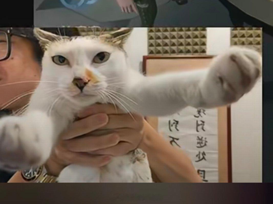 分享图片 