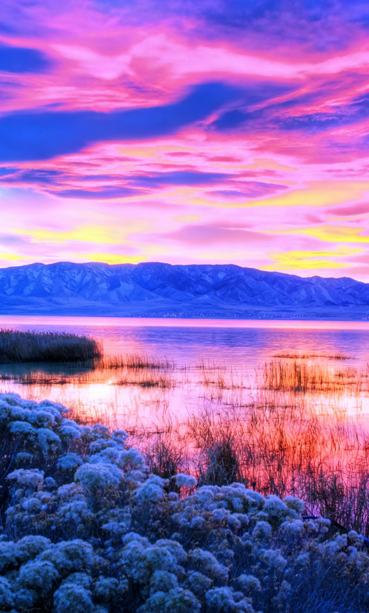 给2026的自己写句话新年新气象