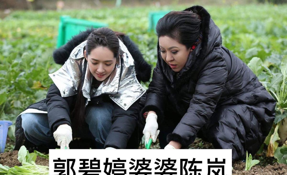 郭碧婷穿白裙笑得温柔，向太一身红袍站她旁边，谁都没输。
郭晶晶戴老款翡翠，朱玲玲