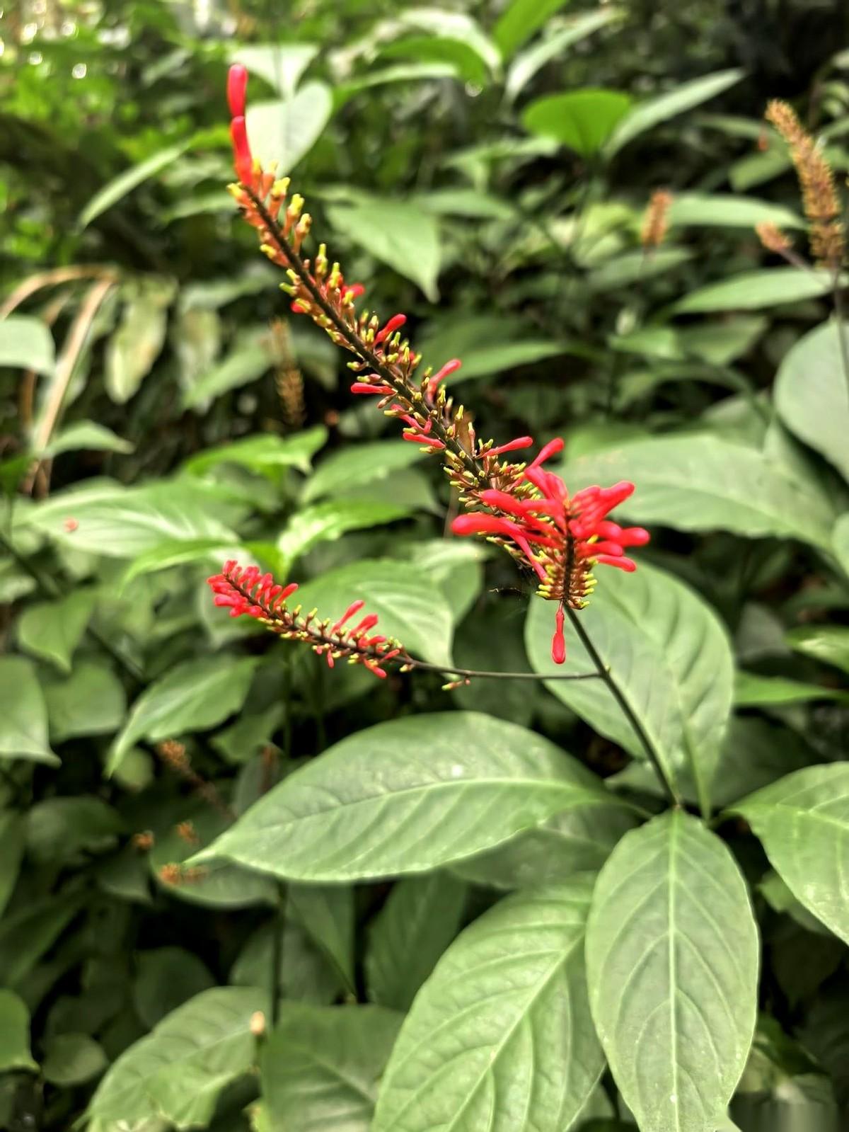 一位退休同事硬要把单位发的慰问品塞给我，她人很喜相，见谁都笑呵呵的。
可她笑着笑